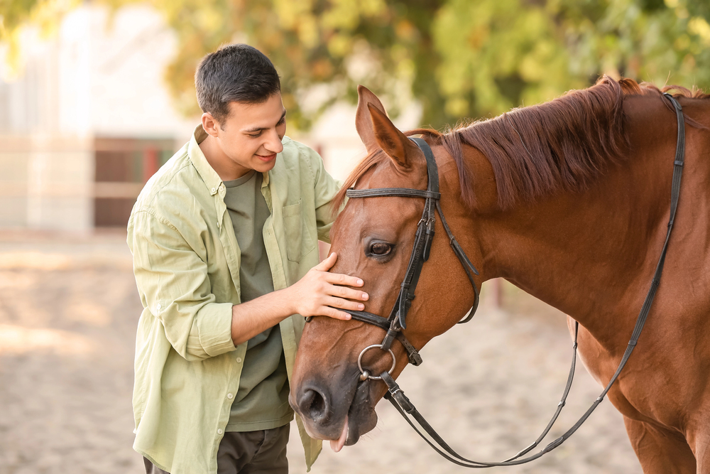 a man patting a horse during workshop