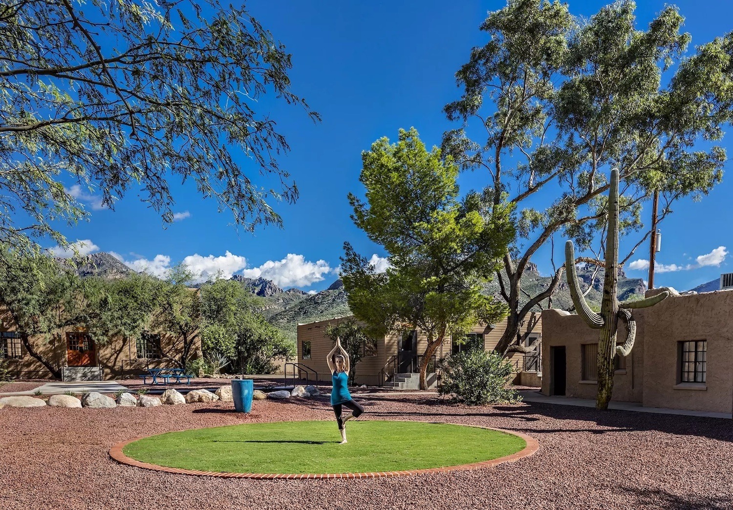 internal-family-systems Internal Family Systems Therapy in Arizona