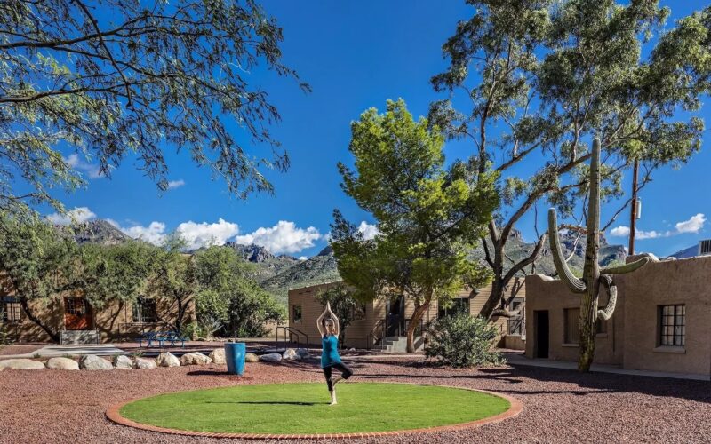 cognitive-behavioral-therapy cognitive-behavioral-therapy